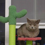 50cm Flower Cat Tree with 2 Cactuses (OUT OF STOCK)