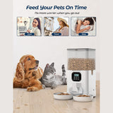 Two-Way Splitter Automatic Pet Feeder