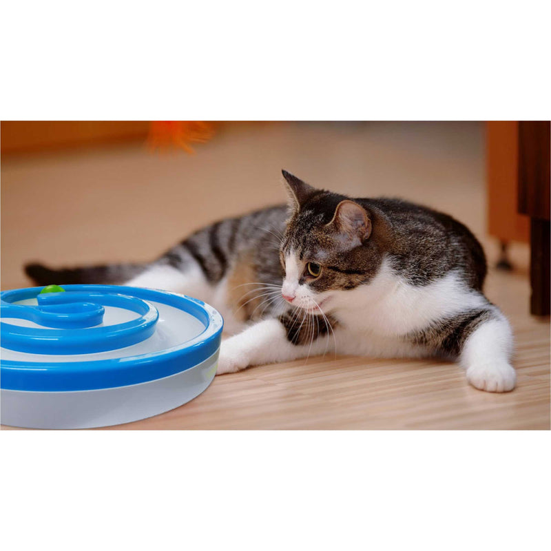 Interactive Cat Track Circle with LED Sound Light Rolling Ball