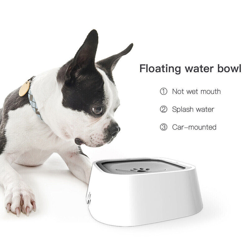 Medium Pet No Spill Pet Water Bowl