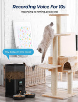 6L Automatic Digital Pet Feeder - Double Food Bowl Dispenser