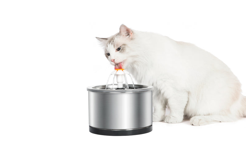 2.5 L Automatic Electric Stainless Steel Pet Water Fountain