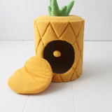 Pineapple Cat House