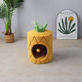 Pineapple Cat House