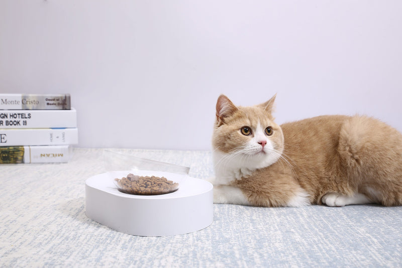 15° Adjustable Cat Feeding Bowl