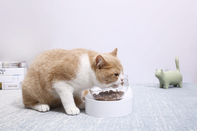 15° Adjustable Cat Feeding Bowl